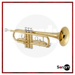 Trompeta de Estudio Conductor Dorada TROMP-DCD